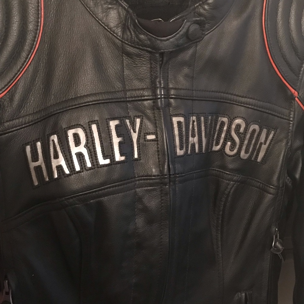 Harley Davidson Riding Jacket & Chaps - Picture 3 of 8